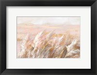 Framed Prairie Grasses