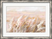 Framed Prairie Grasses