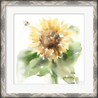Framed Sunflower Meadow III