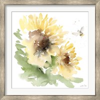 Framed Sunflower Meadow II