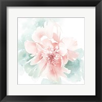 Framed Poetic Blooming II Pink