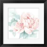 Framed Poetic Blooming I Pink