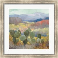 Framed High Desert II