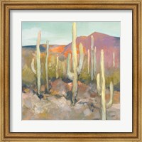 Framed High Desert I