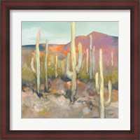 Framed High Desert I