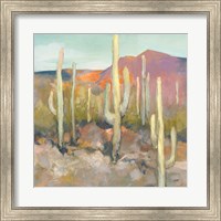 Framed High Desert I