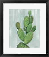 Front Yard Cactus I Slate Framed Print