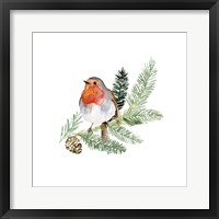 Winter Visitor II Framed Print