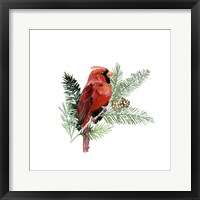 Winter Visitor III Framed Print