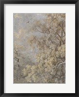 Forest Fresco II Framed Print
