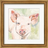Framed 'Sunny the Pig I' border=