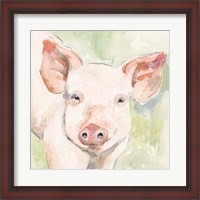 Framed Sunny the Pig I