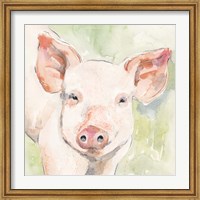 Framed Sunny the Pig I