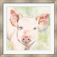 Framed Sunny the Pig I