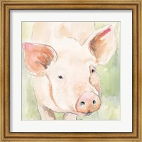 Framed Sunny the Pig II