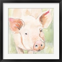 Framed 'Sunny the Pig II' border=