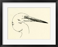 Heron Head I Framed Print