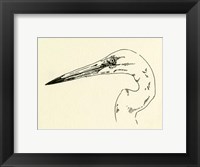 Framed Heron Head II