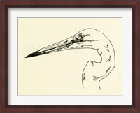 Framed Heron Head II