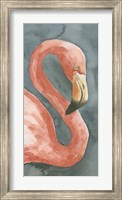 Framed Flamingo Study I