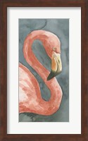 Framed Flamingo Study I