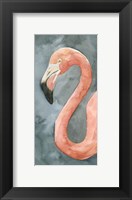 Framed Flamingo Study II