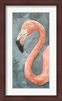 Framed Flamingo Study II