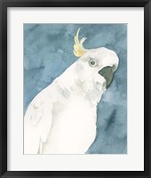 Cockatoo Portrait I Framed Print