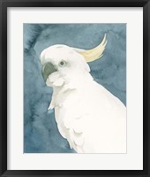 Cockatoo Portrait II Framed Print