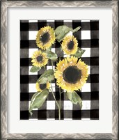 Framed 'Buffalo Check Sunflower I' border=