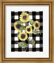 Framed 'Buffalo Check Sunflower II' border=