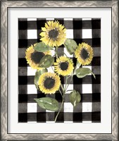 Framed 'Buffalo Check Sunflower II' border=