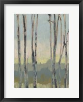 Horizon Through the Trees II Framed Print