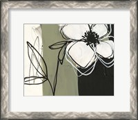 Framed Floral Synergy IV