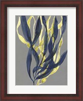 Framed Kelp Embrace I