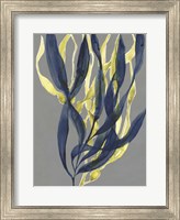 Framed Kelp Embrace I