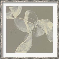 Framed White Ribbon on Beige I