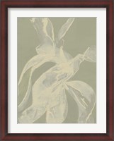 Framed White Ribbon on Celadon I