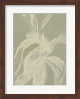 Framed White Ribbon on Celadon I