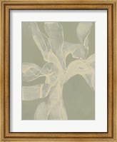 Framed White Ribbon on Celadon II