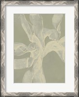 Framed White Ribbon on Celadon II