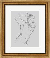 Framed Male Torso Sketch I