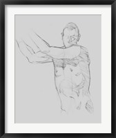 Framed Male Torso Sketch III