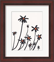 Framed 'Young Coneflowers I' border=