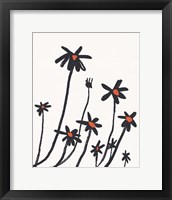 Framed 'Young Coneflowers I' border=