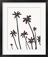 Framed Young Coneflowers II