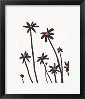 Framed 'Young Coneflowers II' border=