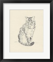 Framed 'House Cat I' border=