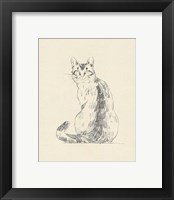 Framed 'House Cat V' border=