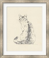 Framed House Cat V